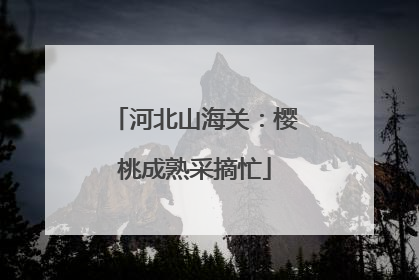 河北山海关：樱桃成熟采摘忙