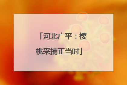 河北广平：樱桃采摘正当时