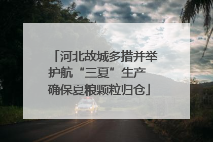 河北故城多措并举护航“三夏”生产 确保夏粮颗粒归仓