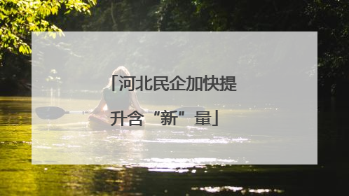 河北民企加快提升含“新”量