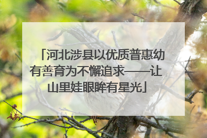 河北涉县以优质普惠幼有善育为不懈追求——让山里娃眼眸有星光