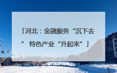 河北：金融服务“沉下去” 特色产业“升起来”