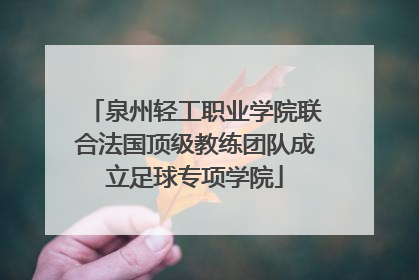泉州轻工职业学院联合法国顶级教练团队成立足球专项学院
