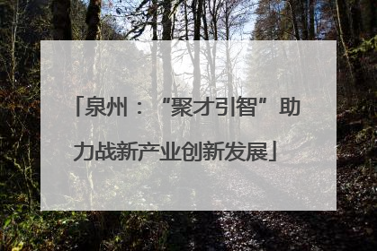 泉州：“聚才引智”助力战新产业创新发展
