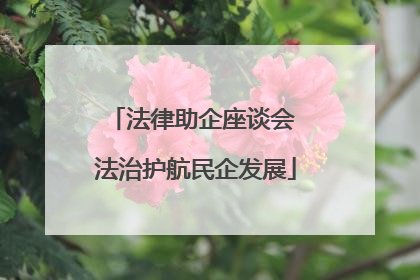法律助企座谈会 法治护航民企发展