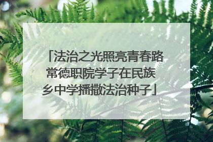 法治之光照亮青春路 常德职院学子在民族乡中学播撒法治种子
