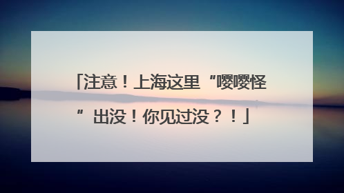 注意！上海这里“嘤嘤怪”出没！你见过没？！