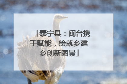 泰宁县：闽台携手赋能，绘就乡建乡创新图景