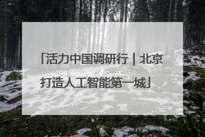 活力中国调研行｜北京打造人工智能第一城