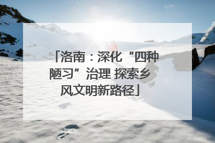 洛南：深化“四种陋习”治理 探索乡风文明新路径