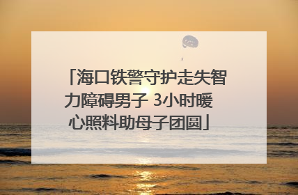 海口铁警守护走失智力障碍男子 3小时暖心照料助母子团圆