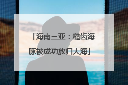 海南三亚：糙齿海豚被成功放归大海