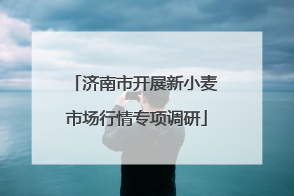 济南市开展新小麦市场行情专项调研
