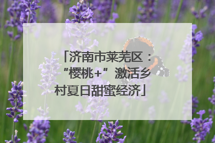 济南市莱芜区：“樱桃+”激活乡村夏日甜蜜经济
