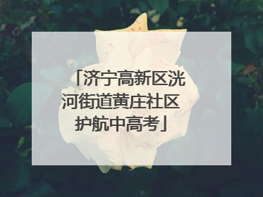 济宁高新区洸河街道黄庄社区护航中高考