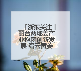 浙报关注丨丽台两地姜产业抱团创新发展 缙云黄姜跨界俏销