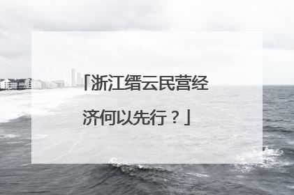浙江缙云民营经济何以先行？