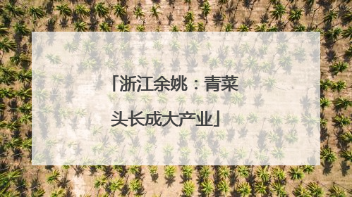 浙江余姚：青菜头长成大产业