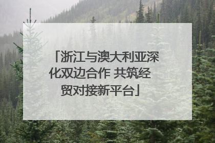 浙江与澳大利亚深化双边合作 共筑经贸对接新平台