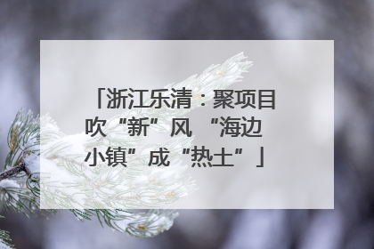 浙江乐清：聚项目吹“新”风 “海边小镇”成“热土”