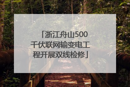 浙江舟山500千伏联网输变电工程开展双线检修