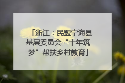 浙江：民盟宁海县基层委员会“十年筑梦”帮扶乡村教育