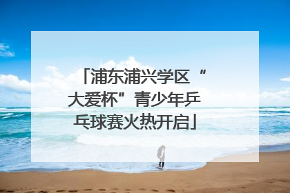 浦东浦兴学区“大爱杯”青少年乒乓球赛火热开启