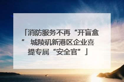 消防服务不再“开盲盒” 城陵矶新港区企业喜提专属“安全官”