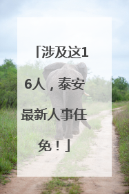 涉及这16人，泰安最新人事任免！