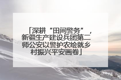 深耕“田间警务”，新疆生产建设兵团第二师公安以警护农绘就乡村振兴平安画卷