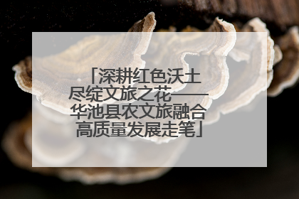 深耕红色沃土 尽绽文旅之花——华池县农文旅融合高质量发展走笔