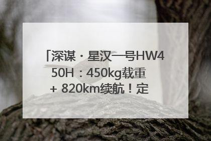 深谋・星汉一号HW450H：450kg载重+ 820km续航！定义低空运力新标准
