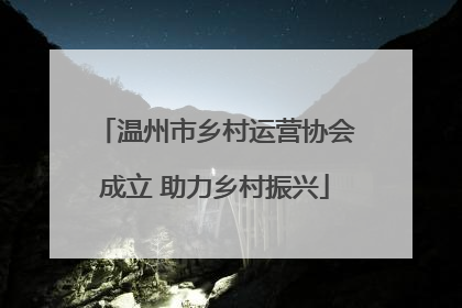 温州市乡村运营协会成立 助力乡村振兴
