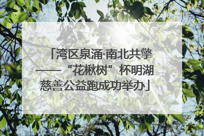 湾区泉涌·南北共擎——“花楸树”杯明湖慈善公益跑成功举办