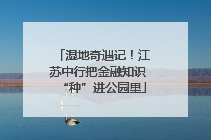 湿地奇遇记！江苏中行把金融知识“种”进公园里