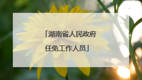 湖南省人民政府任免工作人员