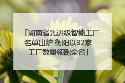 湖南省先进级智能工厂名单出炉 衡阳以32家工厂数量领跑全省