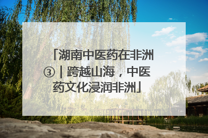 湖南中医药在非洲③｜跨越山海，中医药文化浸润非洲