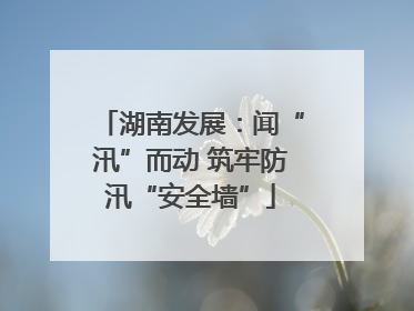 湖南发展：闻“汛”而动 筑牢防汛“安全墙”