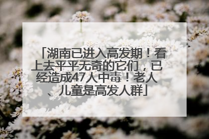 湖南已进入高发期！看上去平平无奇的它们，已经造成47人中毒！老人、儿童是高发人群