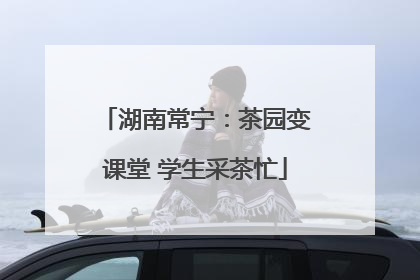 湖南常宁：茶园变课堂 学生采茶忙