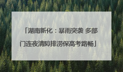 湖南新化：暴雨突袭 多部门连夜清障排涝保高考路畅