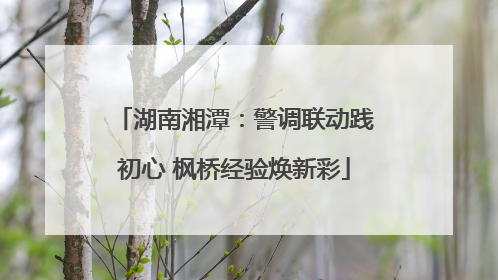湖南湘潭：警调联动践初心 枫桥经验焕新彩