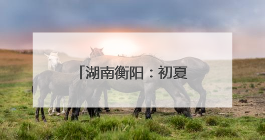 湖南衡阳：初夏“梅”好时光 采摘尝鲜正当时