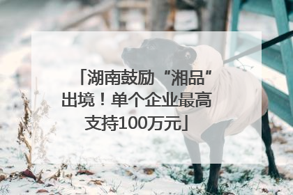 湖南鼓励“湘品”出境！单个企业最高支持100万元