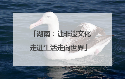 湖南：让非遗文化走进生活走向世界