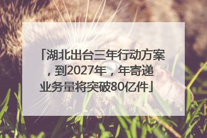 湖北出台三年行动方案，到2027年，年寄递业务量将突破80亿件