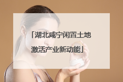 湖北咸宁闲置土地激活产业新动能