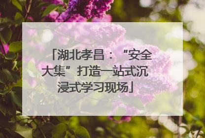湖北孝昌：“安全大集”打造一站式沉浸式学习现场