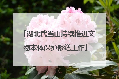 湖北武当山持续推进文物本体保护修缮工作